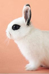 TGA 2022奖项汇总 年度游戏《艾尔登法环》